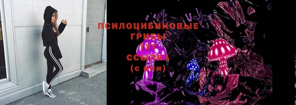 a pvp Алзамай
