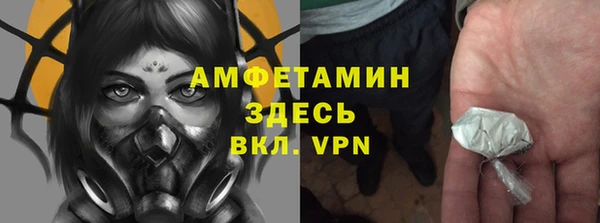 мет Алексин