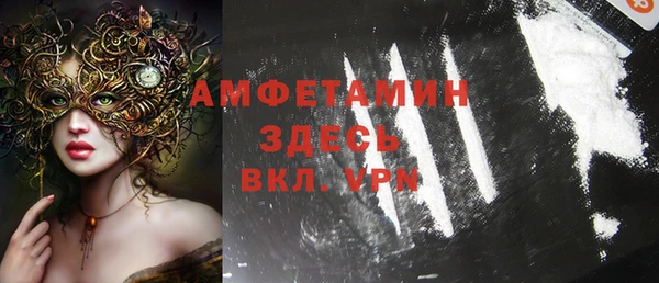 мет Алексин