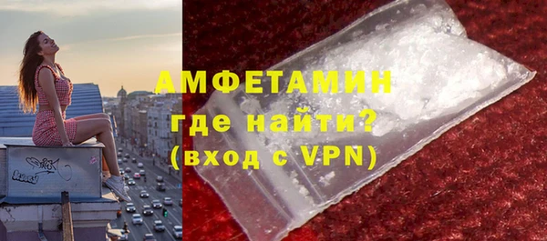 мет Алексин