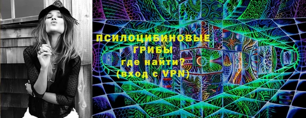 мет Алексин