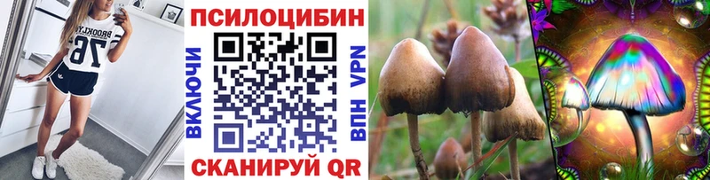 закладка  Красноуральск  Галлюциногенные грибы GOLDEN TEACHER 